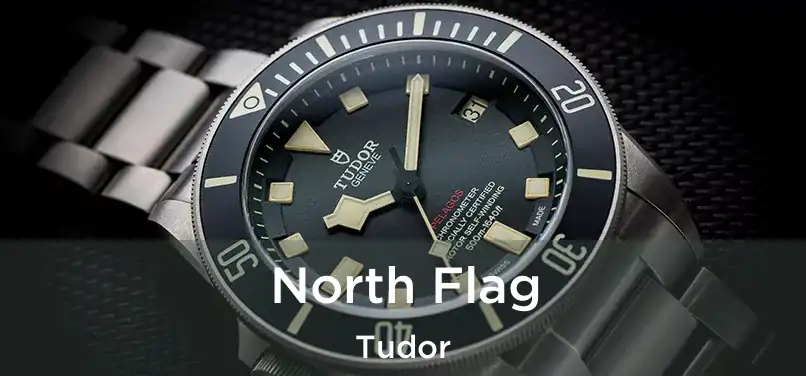  North Flag Tudor